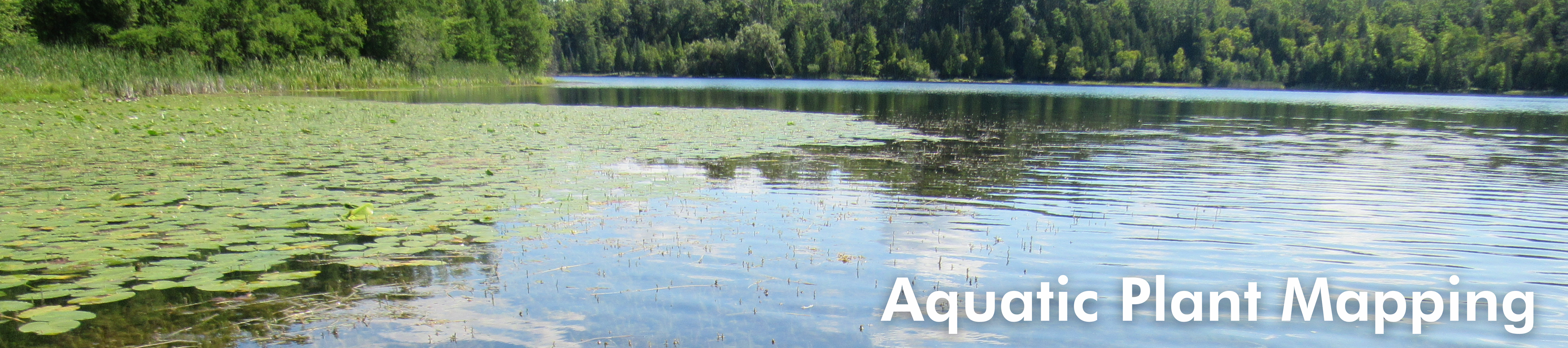 Plant Mapping Header