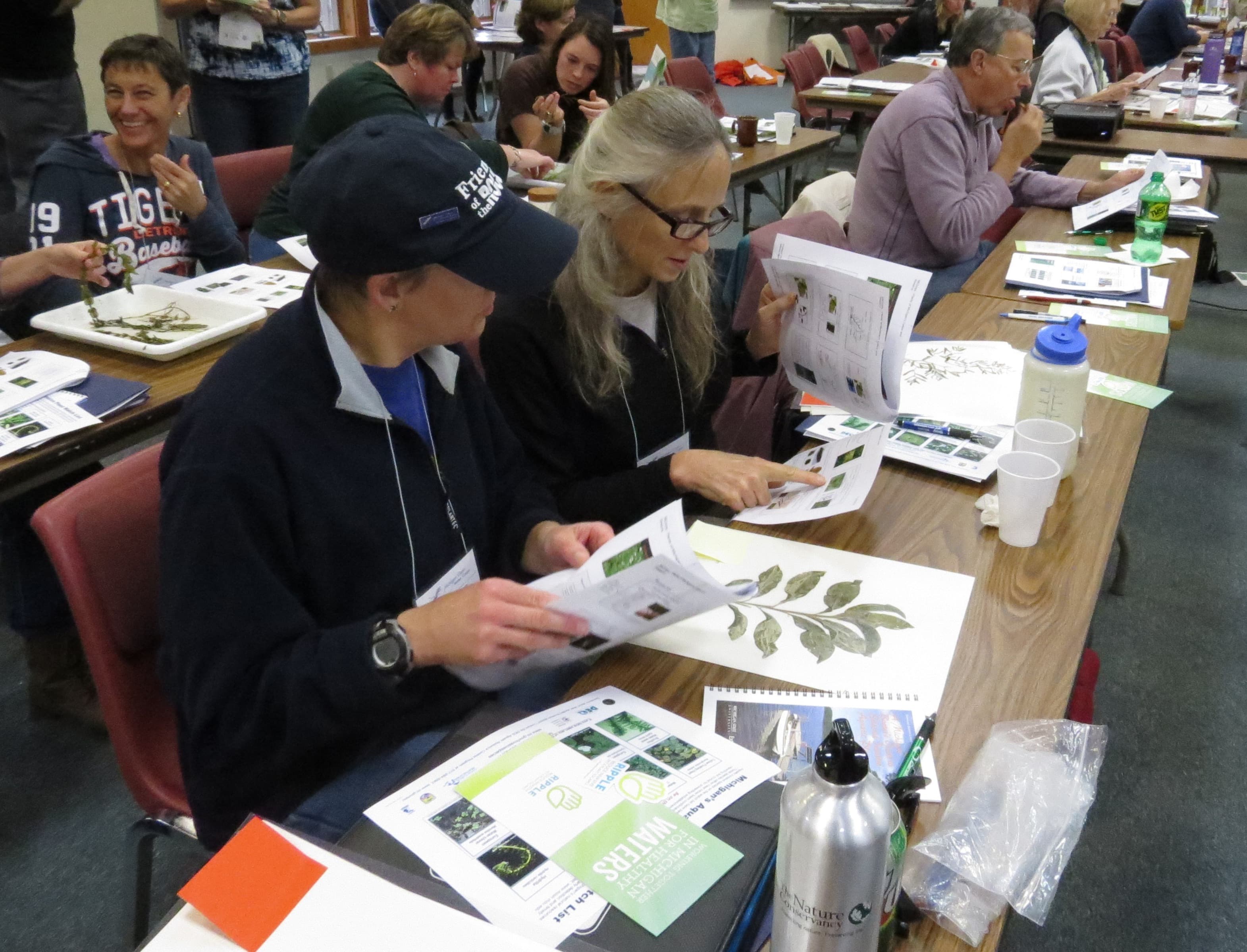 People looking at aquatic plants during training