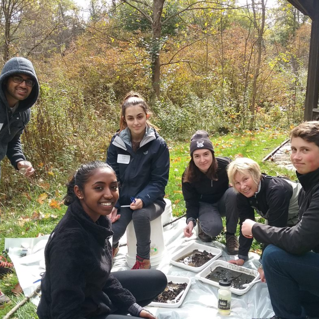 Stream Monitoring team, picking