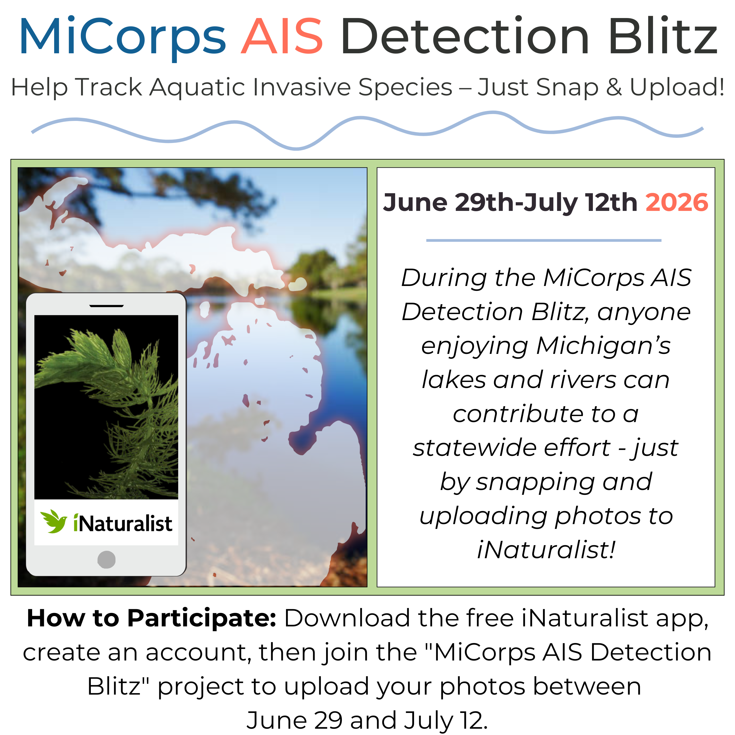 2026 AIS Blitz card image