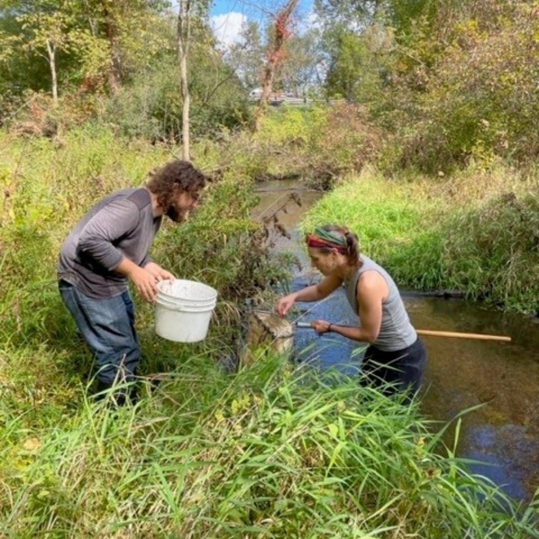 Stream Monitoring in a narrow creek