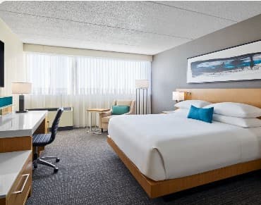 Delta Muskegon King Room