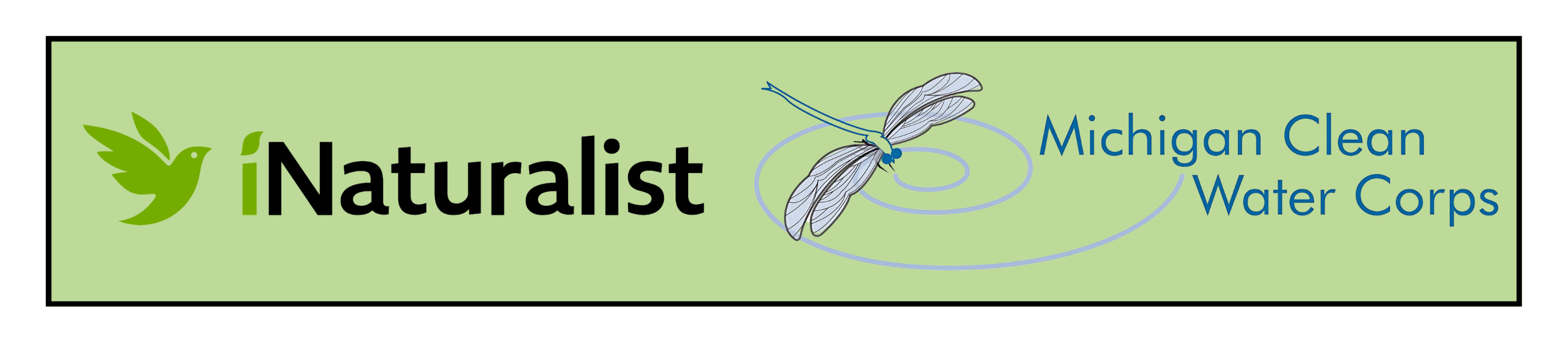 AIS Blitz iNat MiCorps banner