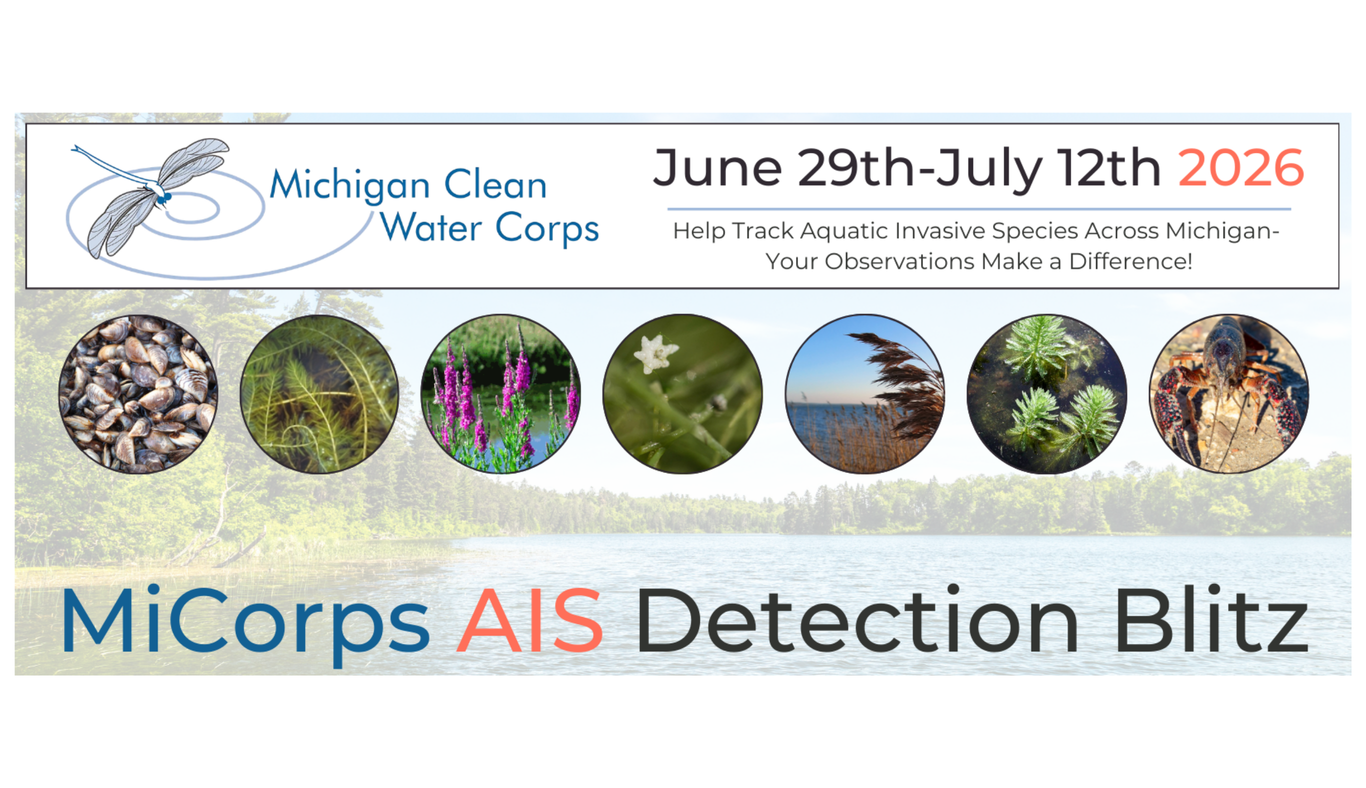 2026 AIS Blitz Banner