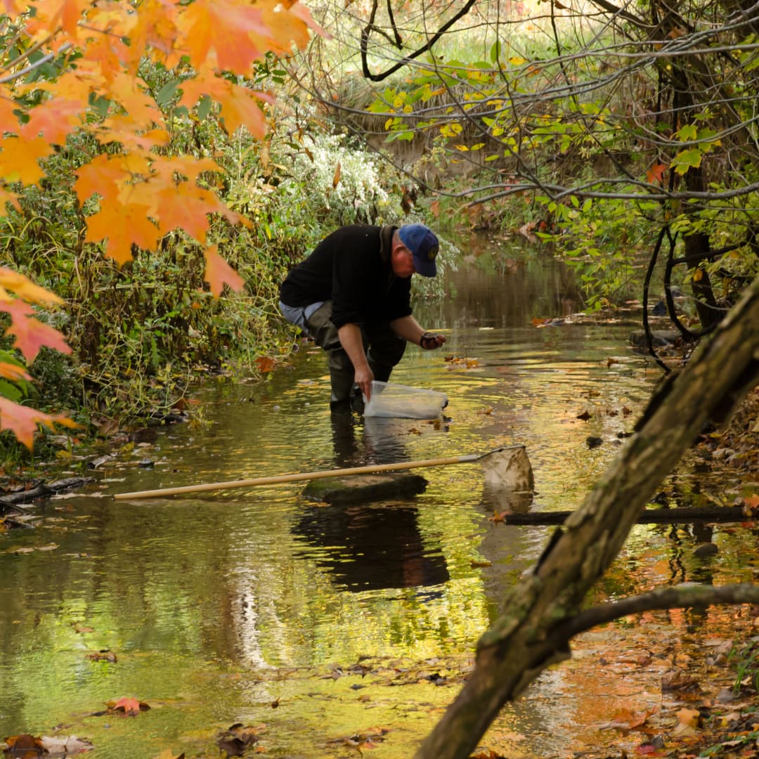 Stream Monitoring in the Fall Dave Wilson