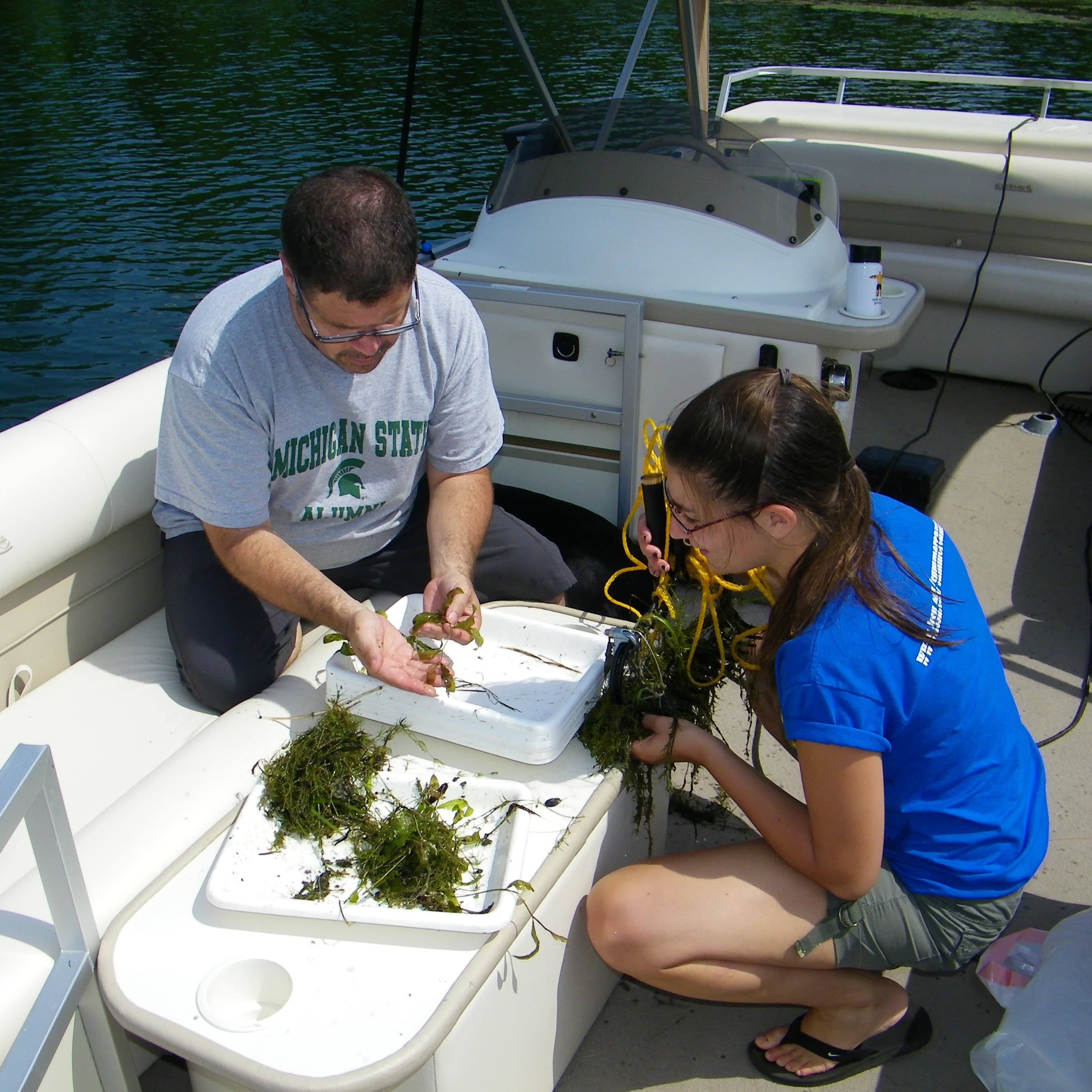 CLMP Aq Plant Mapping