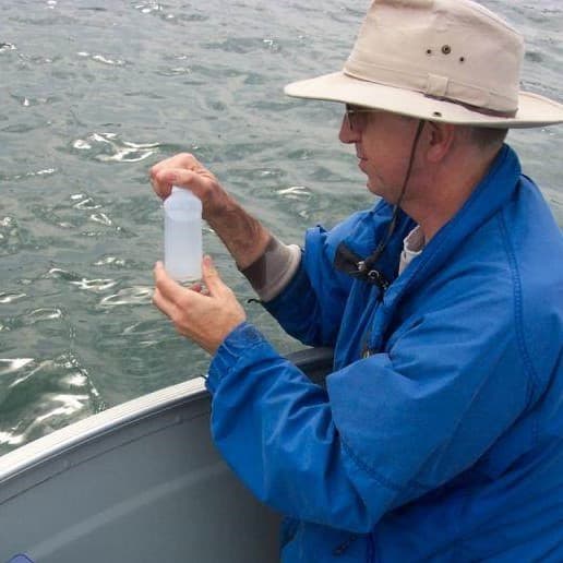 CLMP volunteer collecting P sample