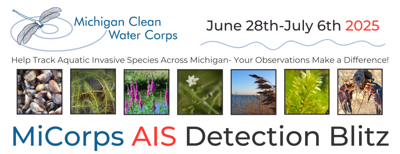 Event banner includes the Michigan Clean Water Corps logo, the event dates (June 28th - July 6th, 2025), the event title (MiCorps AIS Detection Blitz) and the tagline, "Help track aquatic invasive species across Michigan - your observations make a difference!". The banner includes small images of aquatic invasive species: zebra mussels, Eurasian watermilfoil, purple loosestrife, starry stonewort, Phragmites, hydrilla, and rusty crayfish.