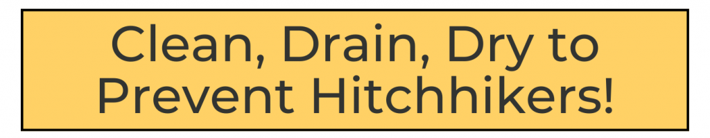 Clean, drain, dry to prevent hitchhikers!