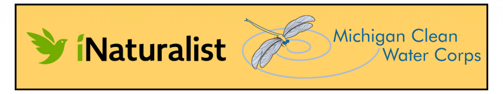 Logos for iNaturalist and the Michigan Clean Water Corps